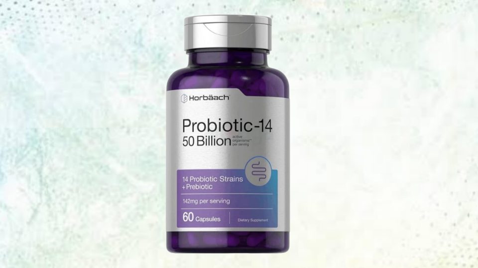Horbäach Probiotics with Prebiotics | 60 Capsules | 50 Billion Active Organisms